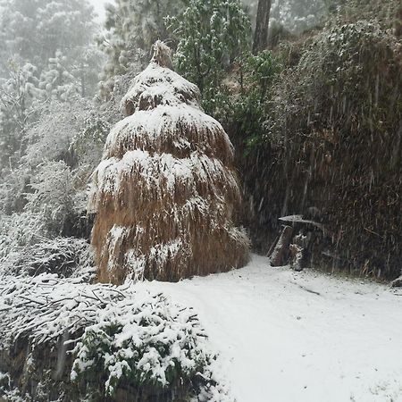 Appartamento Aagaman Woods Shimla Esterno foto
