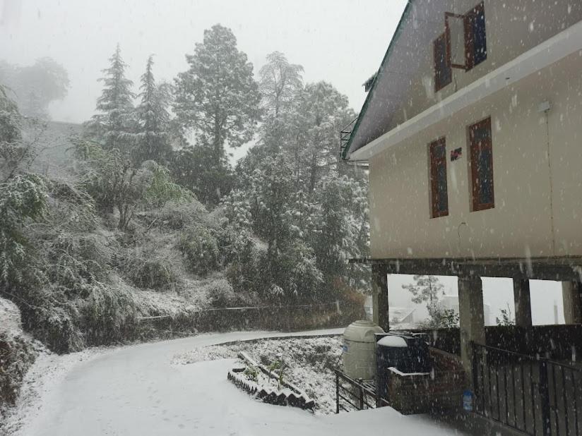 Appartamento Aagaman Woods Shimla Esterno foto
