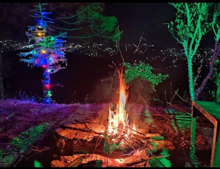 Appartamento Aagaman Woods Shimla Esterno foto